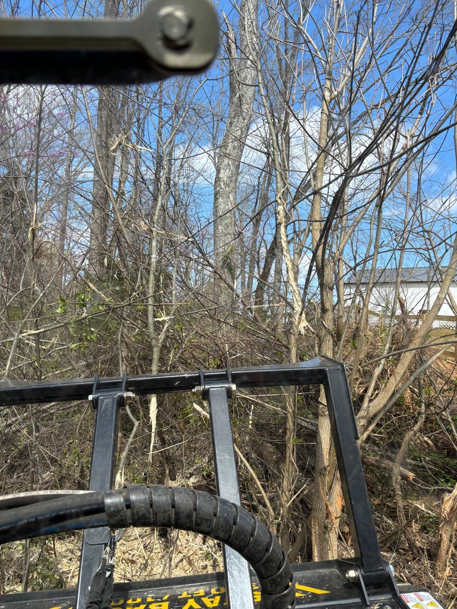 Land Clearing for Gregory Grass and Lawn in Lafayette, TN