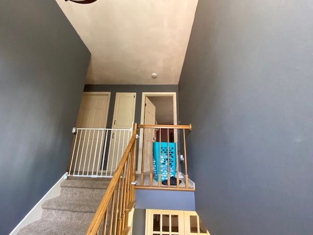 Color Specialist  for 920 Interior Painting & Design in Neenah, WI