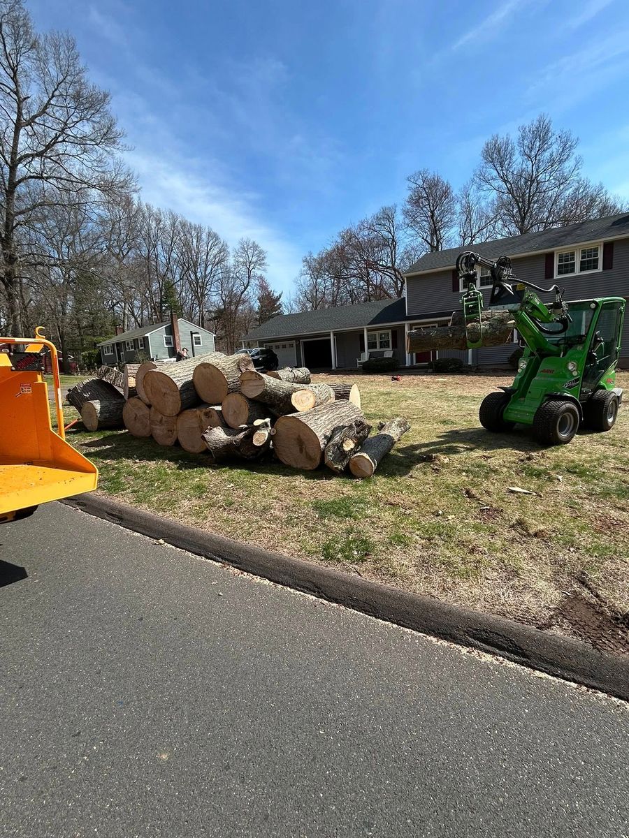 Tree Removal for DC TREE in Vernon, CT
