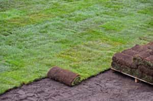 Turf Install for ALOV Landscaping in Stockton, CA