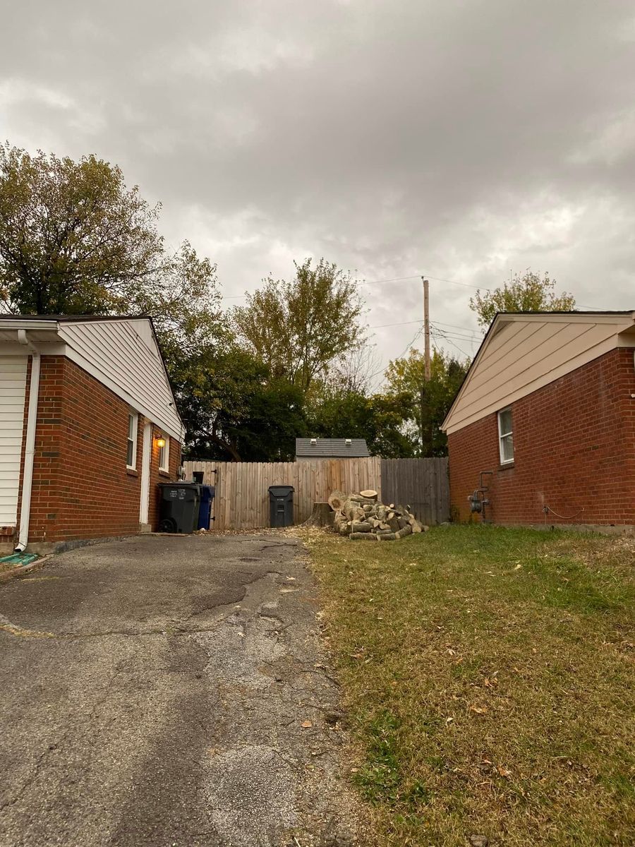 Stump Removal for Houtz Tree Service in Lexington, KY