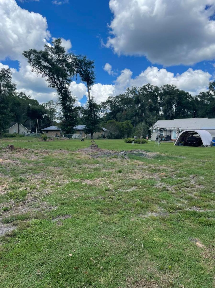 Tree Trimming for Alford’s Tree and Stump Services LLC in Lake City, FL