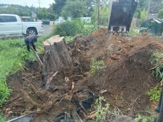 Land Clearing & Demolition for Southern Land Improvements in Edgefield, SC