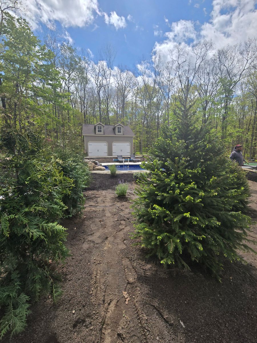 Planting & Pruning for Tony Monaco Landscaping Inc. in Orange County, NY