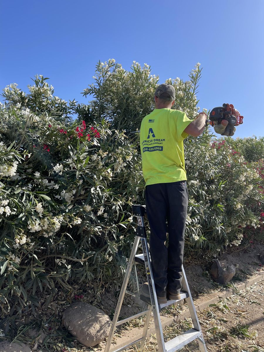 Arbor Care and Tree Trimming for American Dream Landscape Company in Surprise, AZ