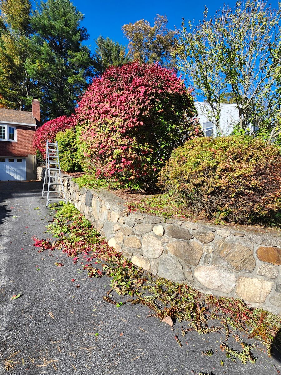 Landscape Installation for Landscape Innovations LLC in Torrington, CT