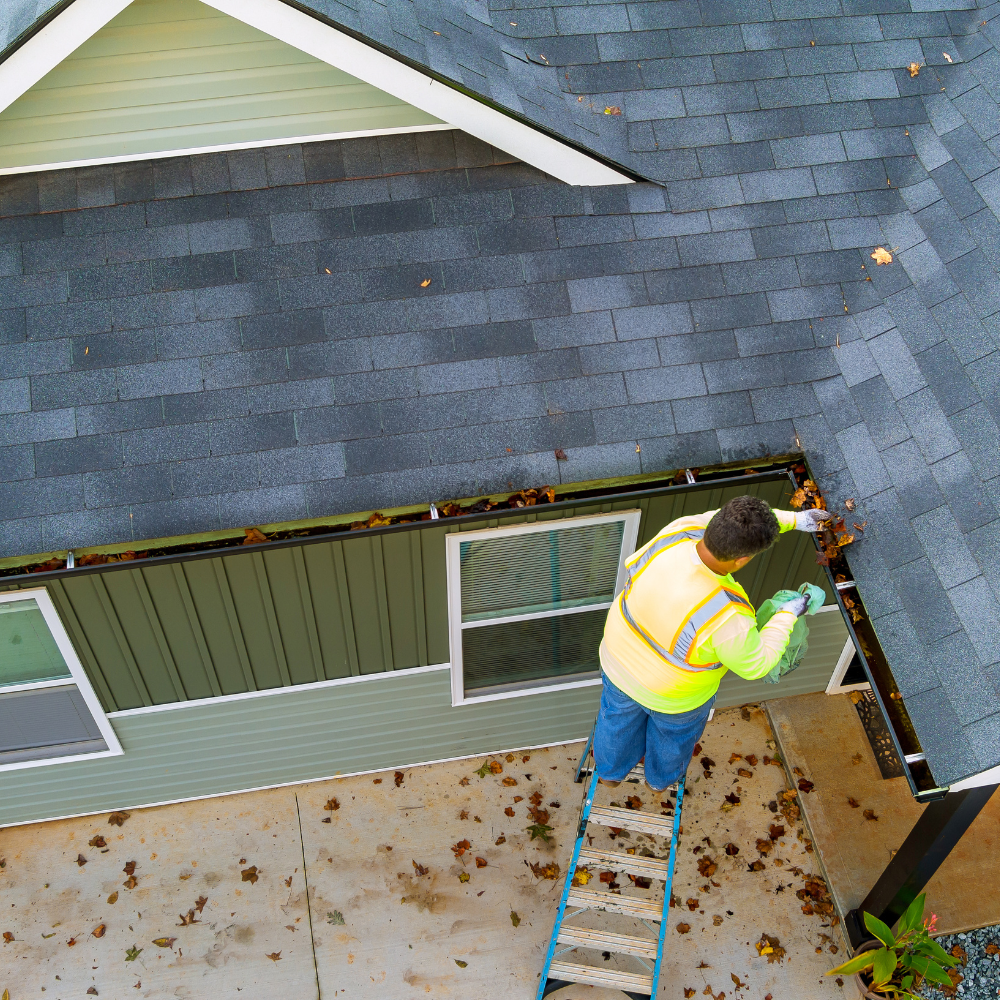 Gutter Flush & Cleaning for radPAD - Home Service Pros in Carlsbad, CA