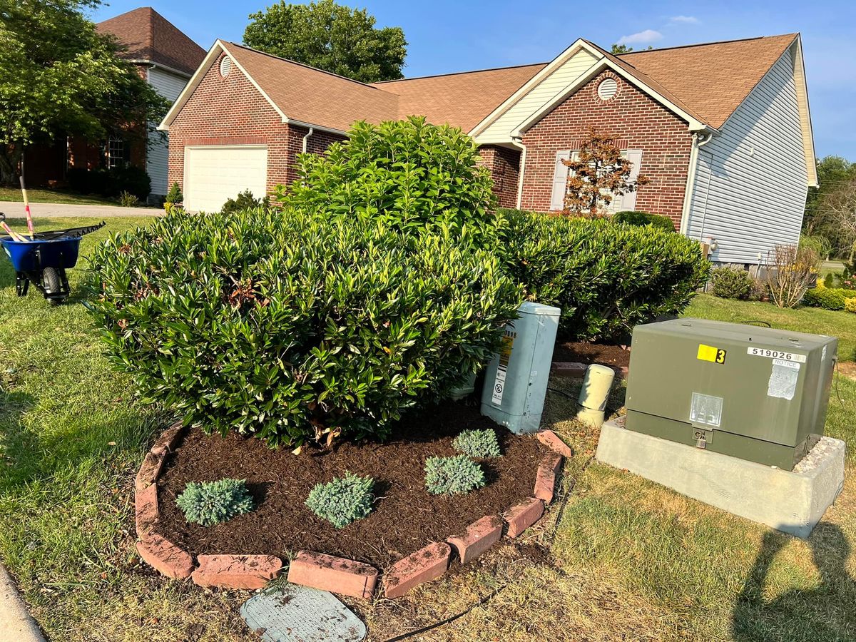 Mulch Installation for TJ’s Landscaping in Knoxville, TN