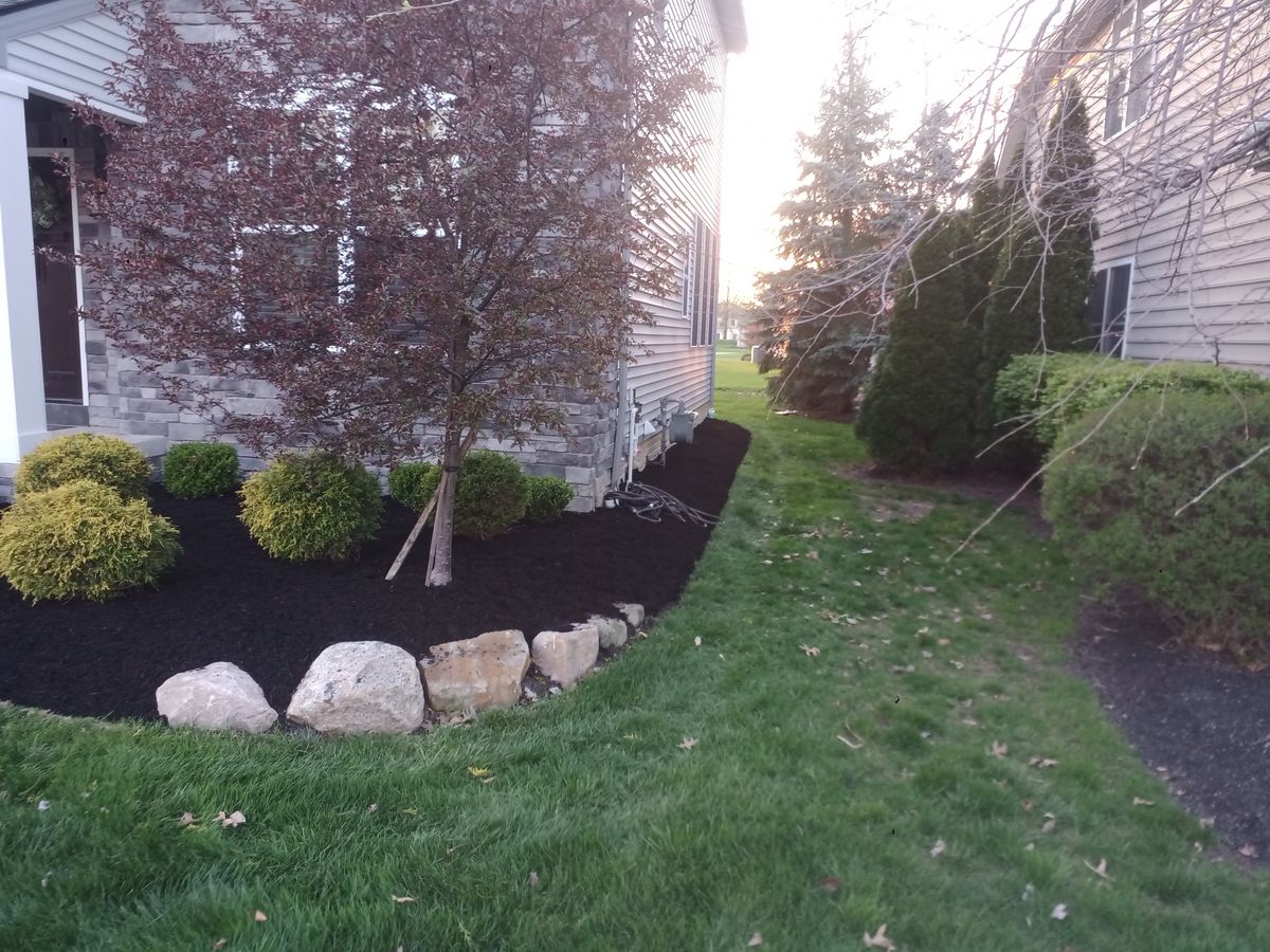 Shrub Trimming for Hendricks Mowing in Amherst, OH