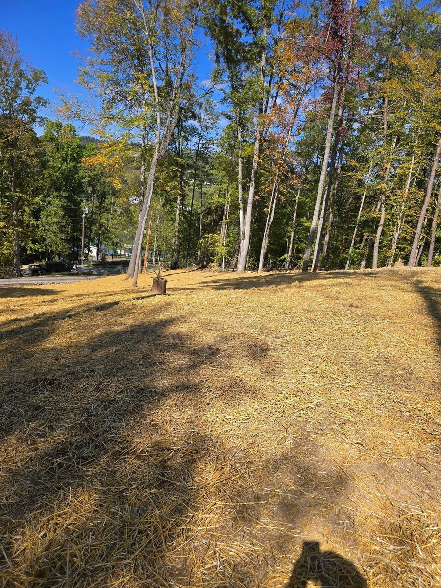 Land Grading for Williams Lawn and Land in Sharps Chapel, TN