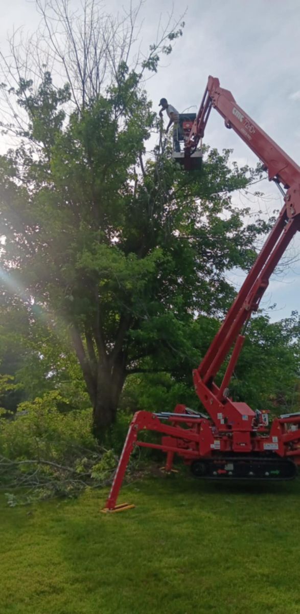 Tree Trimming for Lawn Ranger Yard And Tree Service LLC in Ottumwa, IA