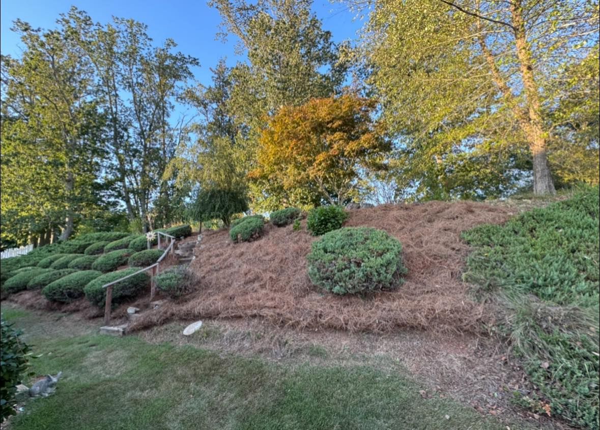 Fall Clean Up for Brumblebee's Landscaping & Cleaning Services in Loganville, GA