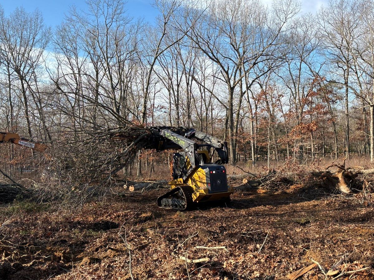 Forestry Mulching for GT Lawn Care in Egg Harbor Township, NJ