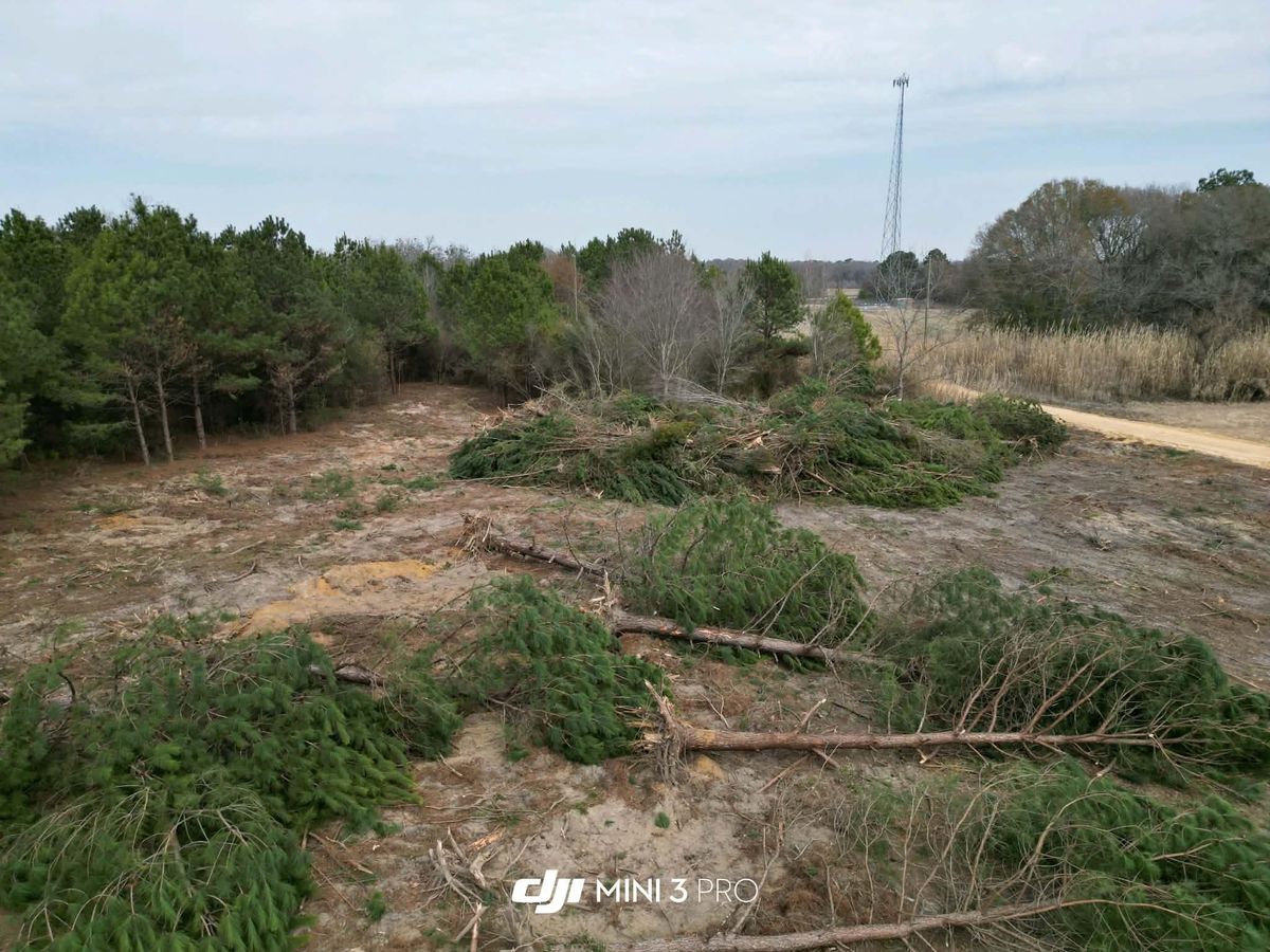 Land Clearing for Rogers Land Services in Hawkinsville, GA