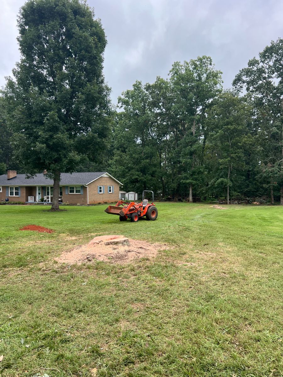 Tree Removal for Brooks Tree Service in Casar, NC