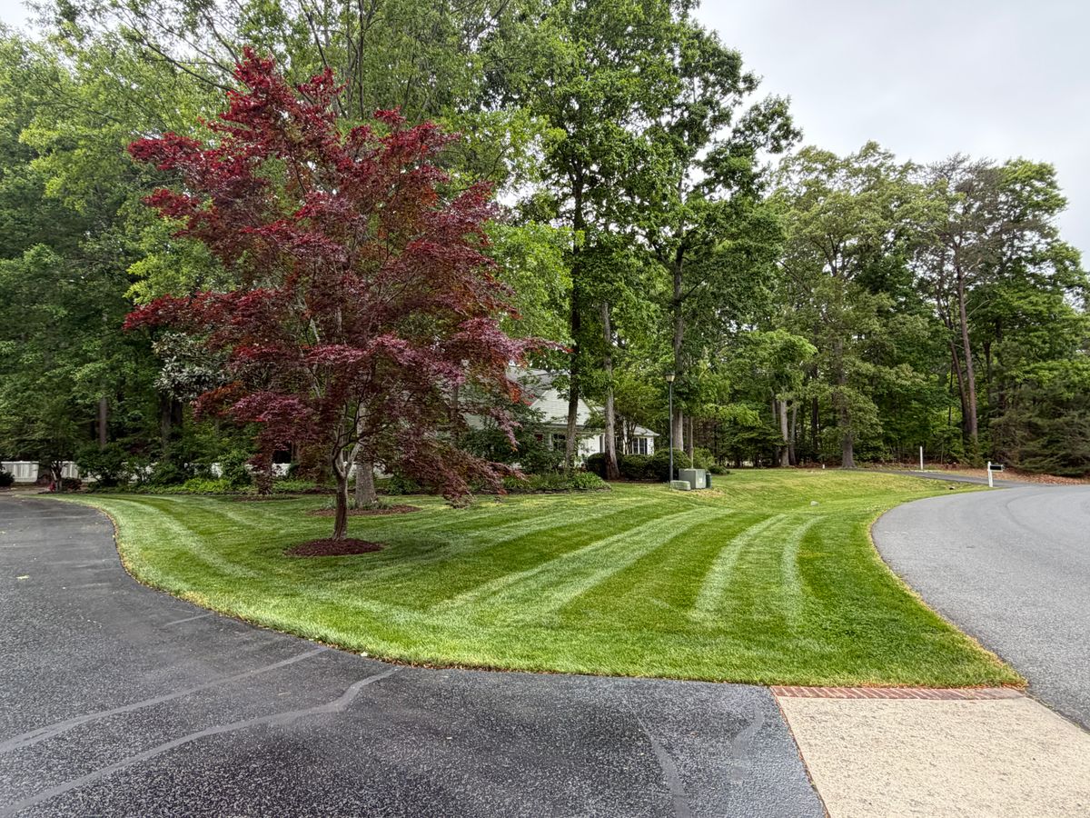 Lawn Maintenance for Lawn pro services in Georgetown, DE
