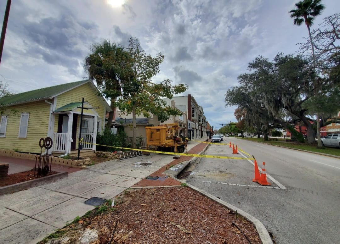 Tree Trimming for Regal Tree Service and Stump Grinding in Wauchula, FL