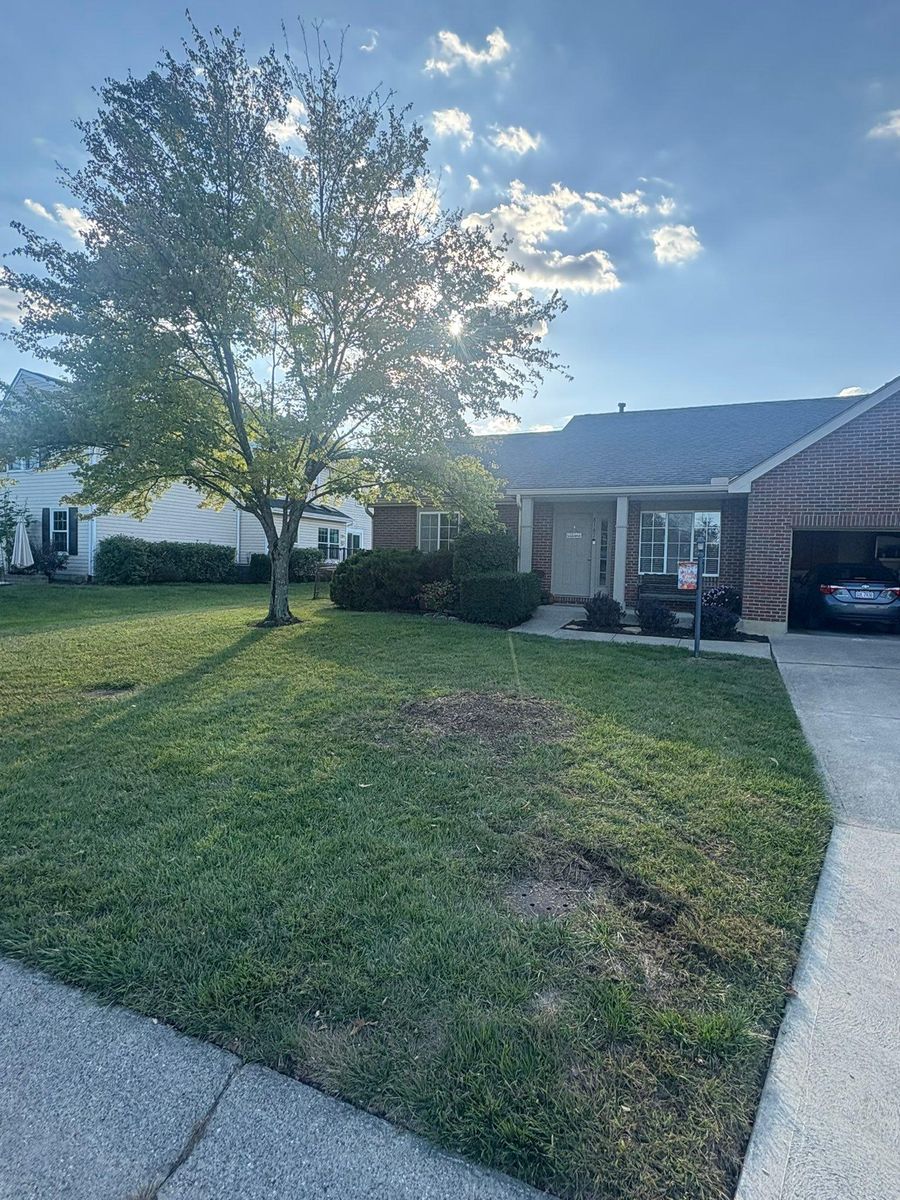 Tree Trimming for Dig-It Tree Company in Mason, OH