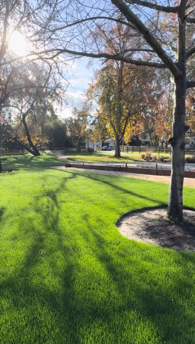 Lawn Maintenance for Herreras Land Service in San Diego, CA