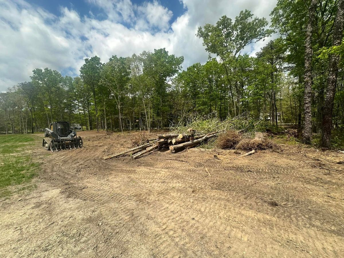 Tree, Brush, & Shrub Removal for GT Lawn Care in Egg Harbor Township, NJ