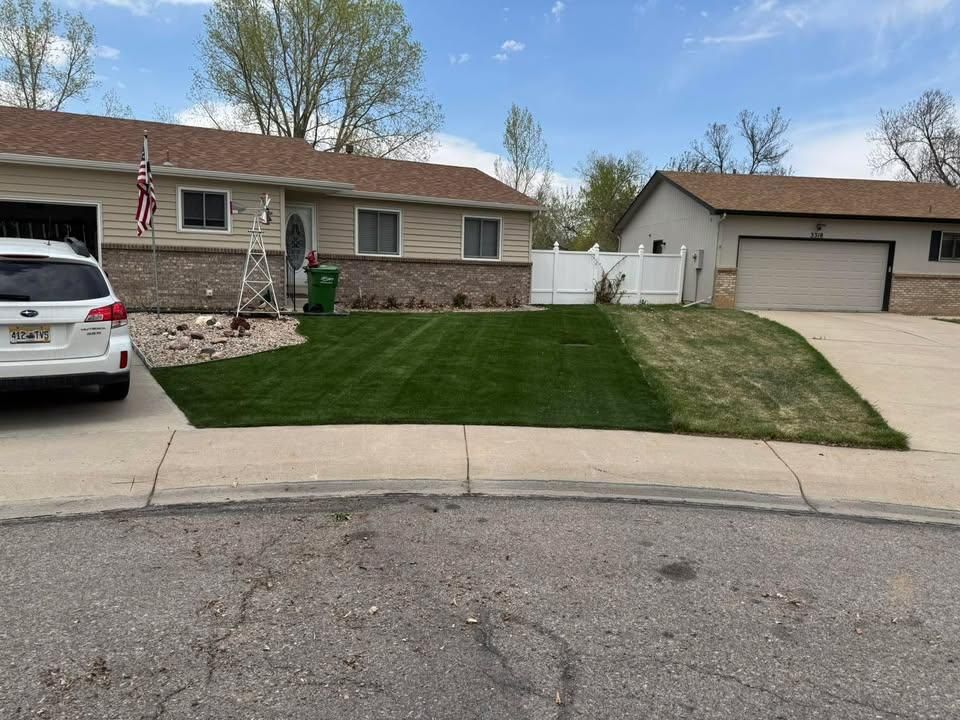 Sod Installation for Forever Green Turf Pros LLC in Greeley, CO