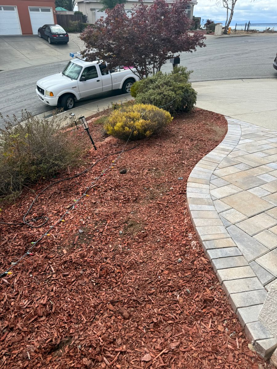 Shrub Trimming for CBA Landscaping in Hayward, CA