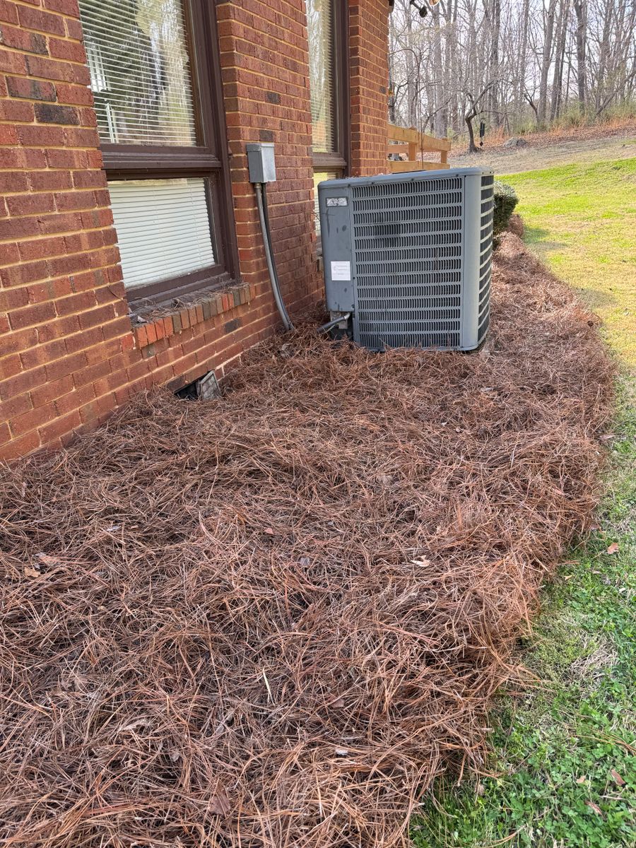 Pine Straw Installation for Chavez Landscaping in Pittsboro, NC
