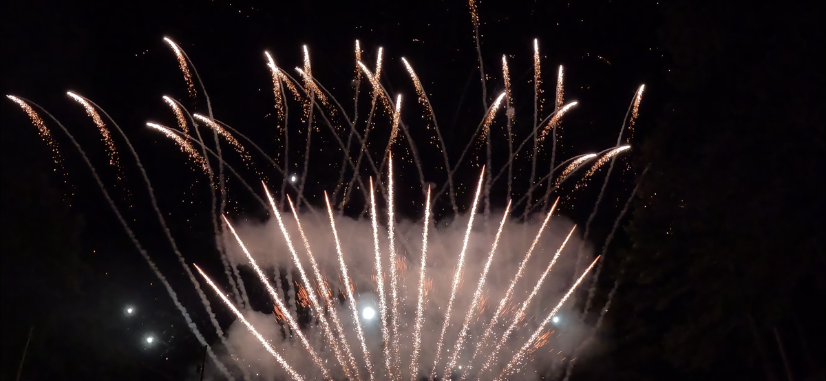 Weddings Firework Display for Sky High Pyrotechnics & Fireworks Serving South Carolina, Georgia and Delaware. Wedding fireworks display company, Fourth of July fireworks display, gender reveal fireworks display, near me, Myrtle Beach Charleston Horry County Georgetown County. in Horry County, SC