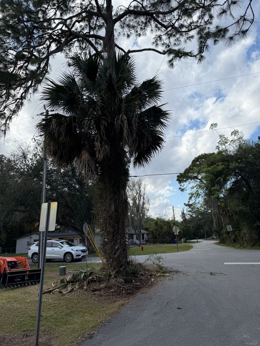 Landscape Installation for Amerigrown Tree And Lawn in Apopka, FL