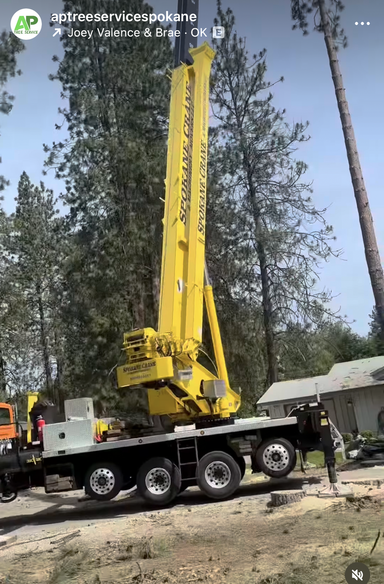 Crane-Assisted Tree Removal for AP Tree Service in Colbert, WA
