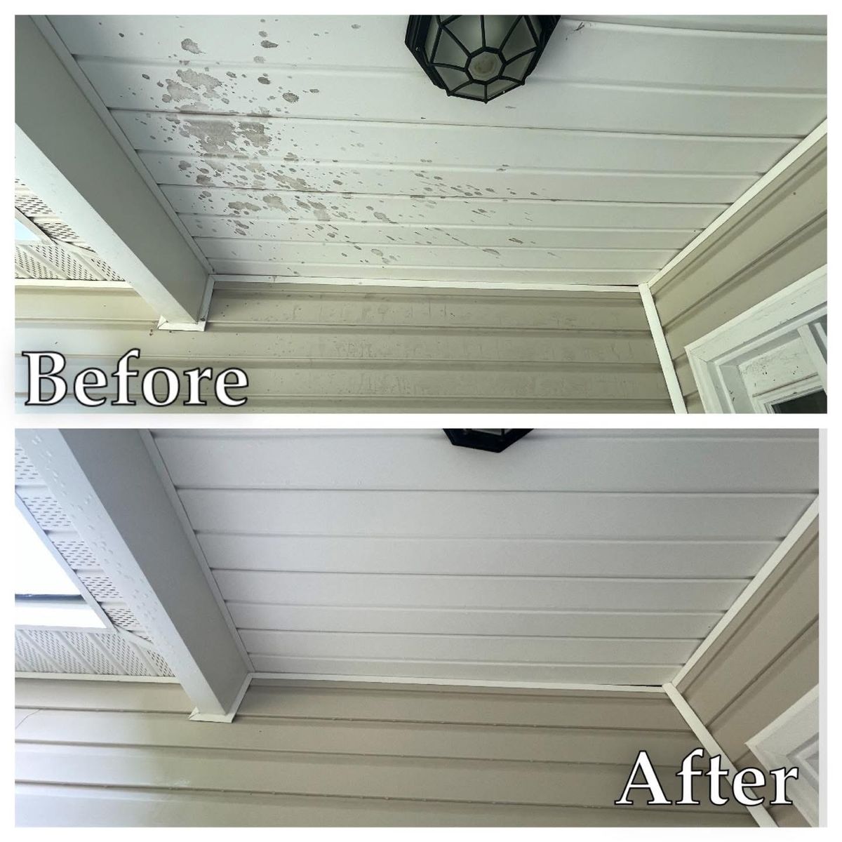 Home Softwash for Port City Power Washing in Wilmington, NC