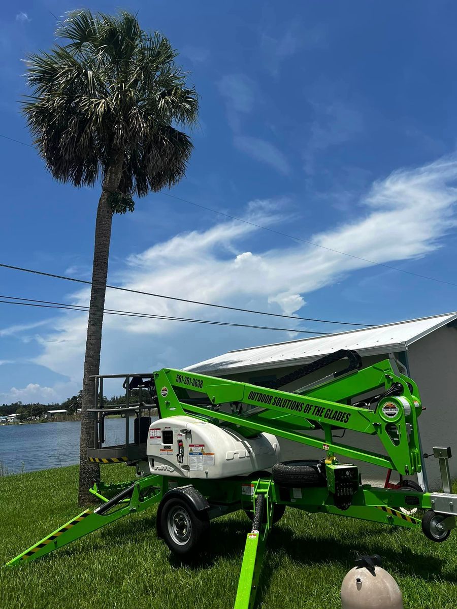 Tree Trimming for Outdoor Solutions Of The Glades in Hendry County, FL