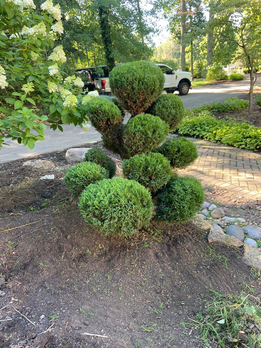 Shrub Pruning for Reliable Landscape in Monclova, OH