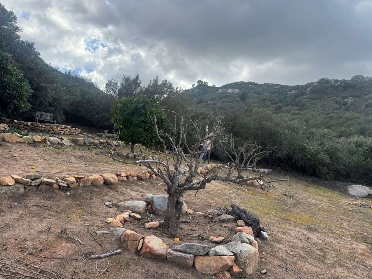Property Beautification for The Tree Fairy in Julian, CA