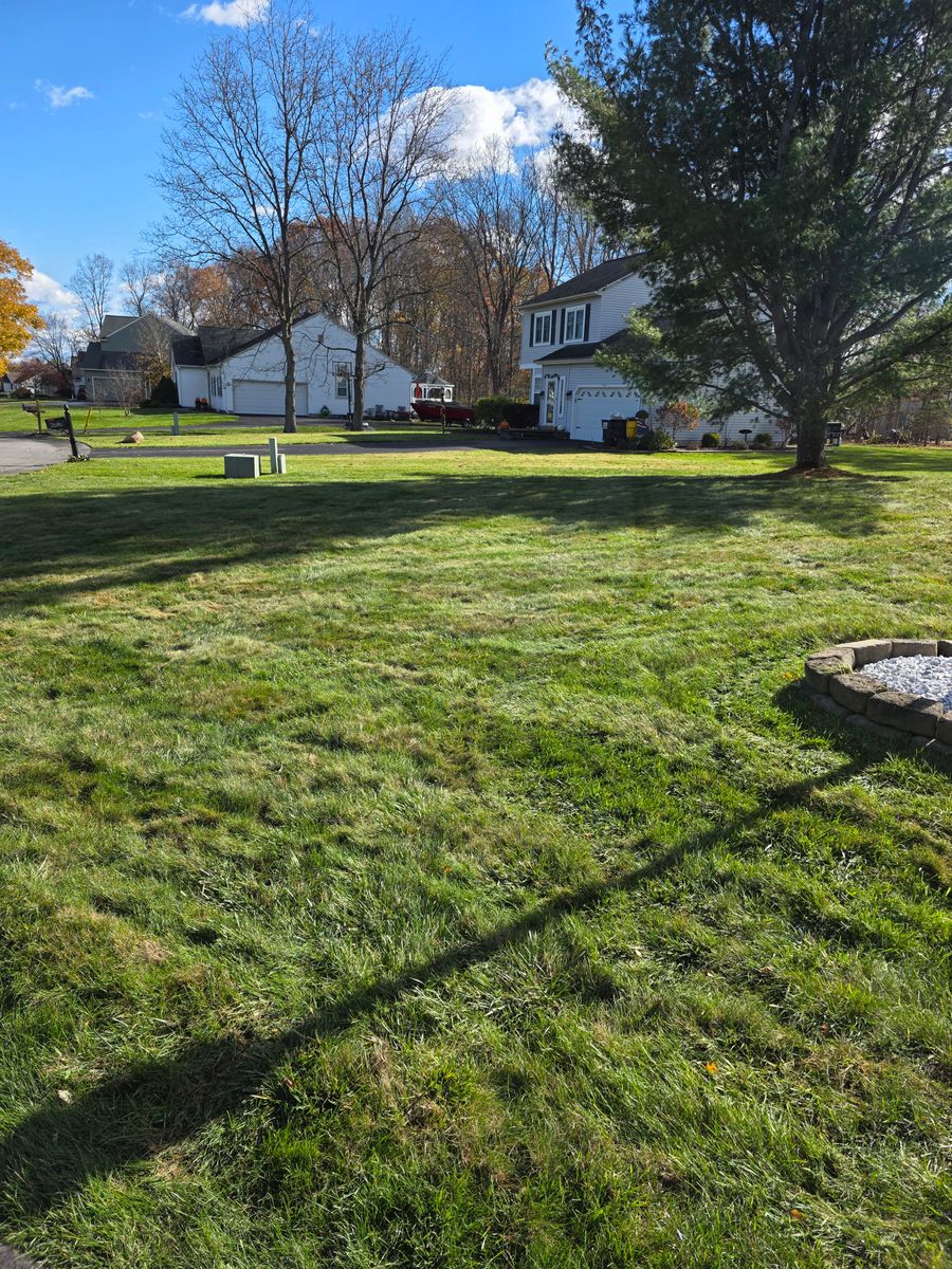 Dethatching & Aeration for Sweet Scapes in Ballston Spa, NY