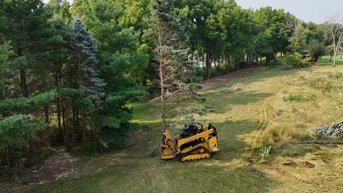 Land Clearing for Willing Trucking & Excavating in Evansville, WI