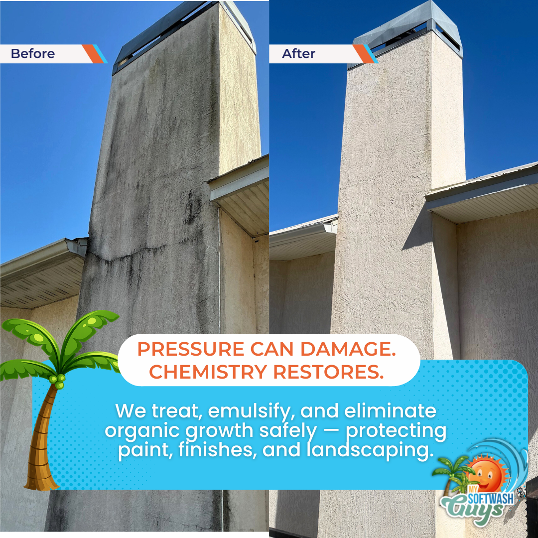 Sanitization Cleaning for My Soft Wash Guys in Venice, FL