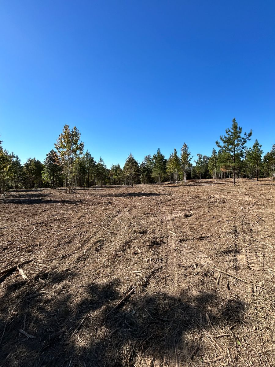 Brush cutting & Mulching for Lambert Equipment Services in Hessmer, LA