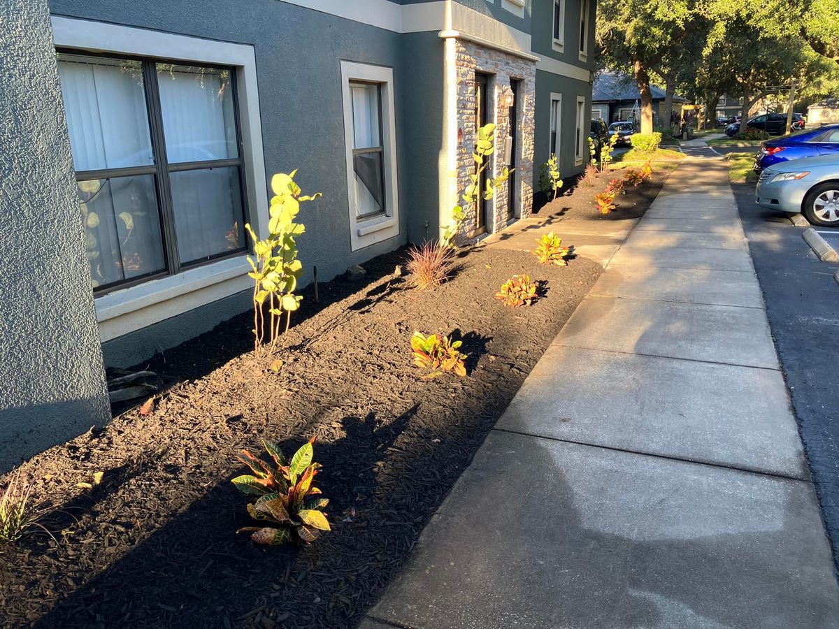Commercial Landscaping for Genesis Landscape Services in Spring Hill, FL