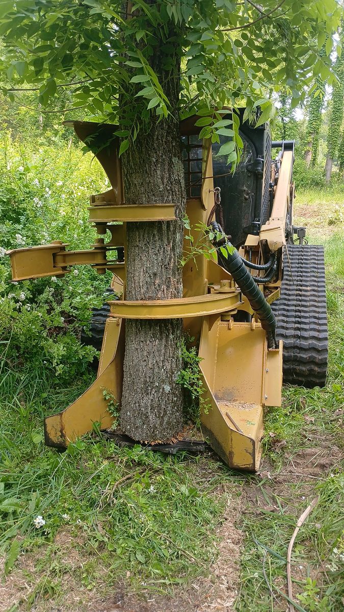 Tree Removal for Willing Trucking & Excavating in Evansville, WI