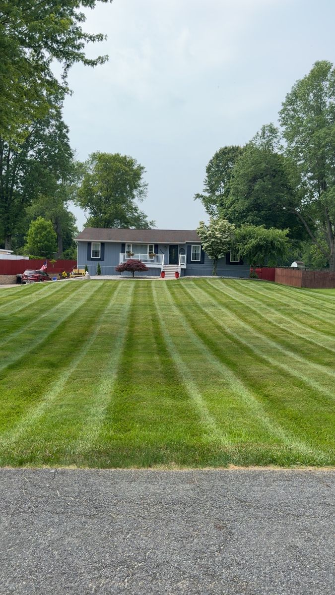 Spring Cleanup for Jenkins Landscaping & Property Management LLC in Clinton, OH