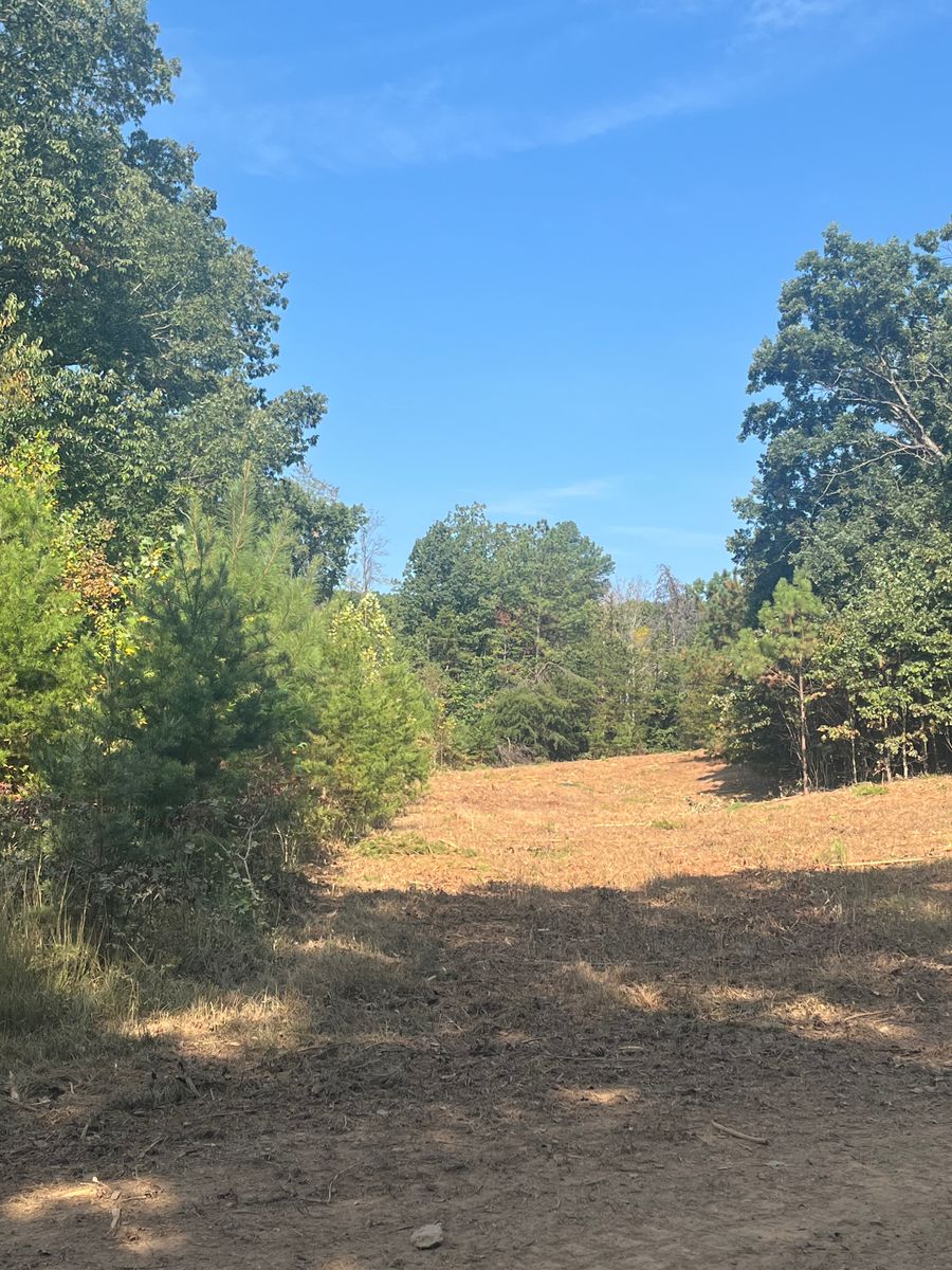 Bush Hogging for Southside Land Management in Gretna, VA