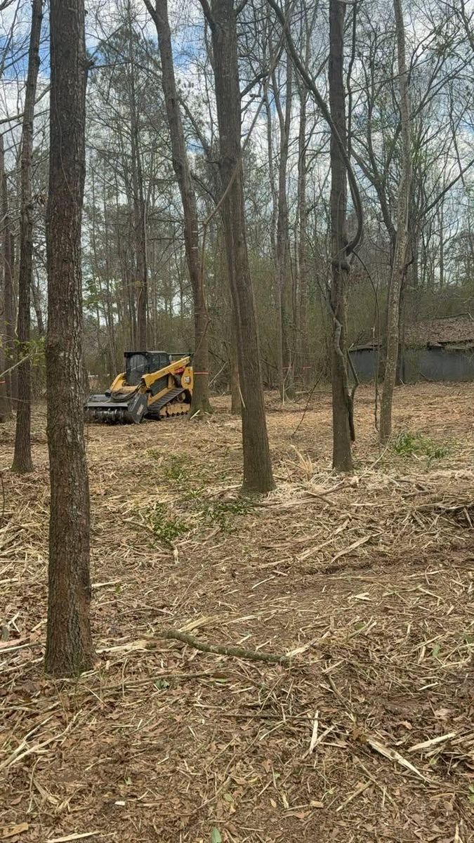 Forestry Mulching for DC Construction Company LLC in Clanton, AL