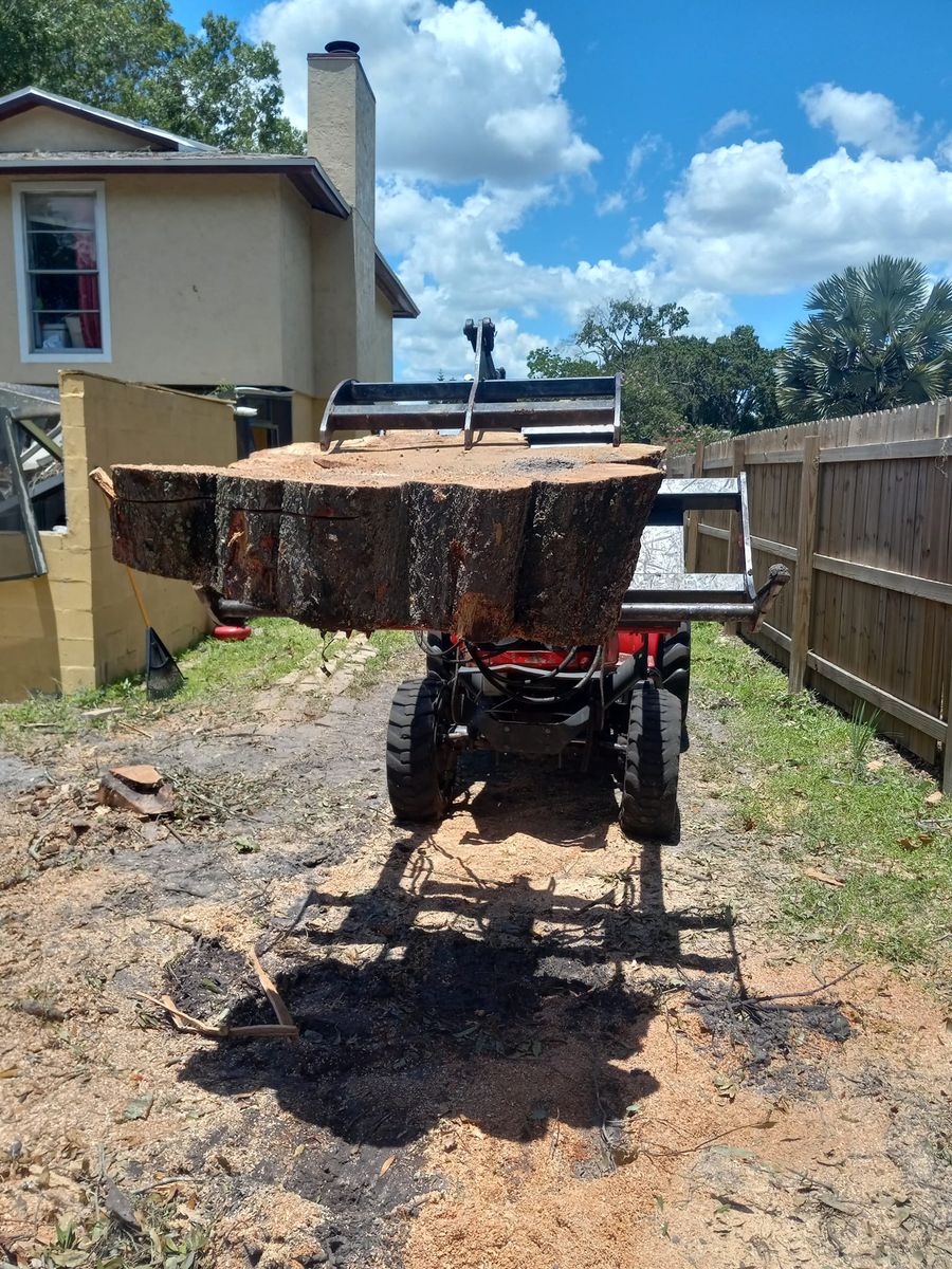 Stump Removal for Bills Tree Service in Valrico, FL