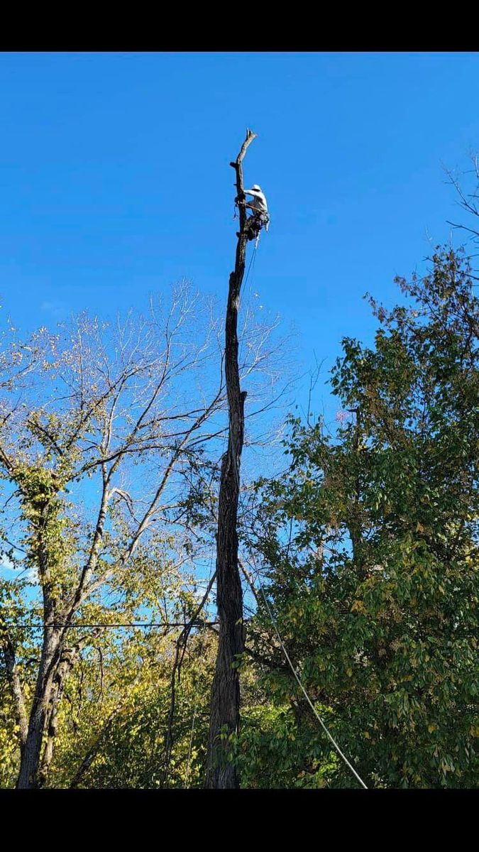 Tree Trimming for NRV Tree Pro, LLC in Narrows, VA