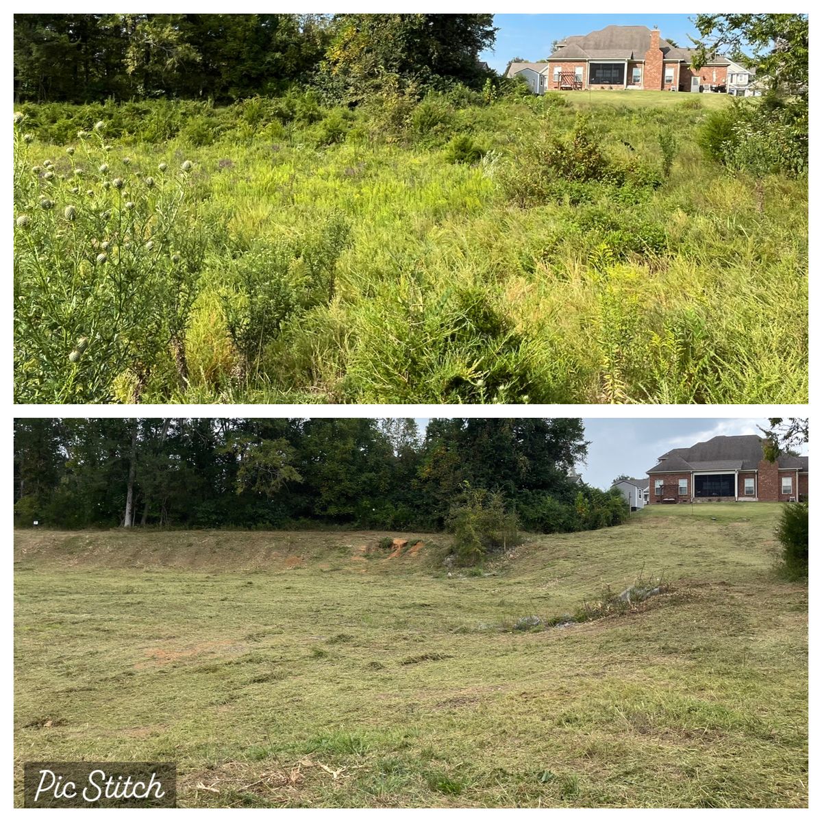 Land Clearing for TriStar Land Clearing & Mulching in Franklin, TN