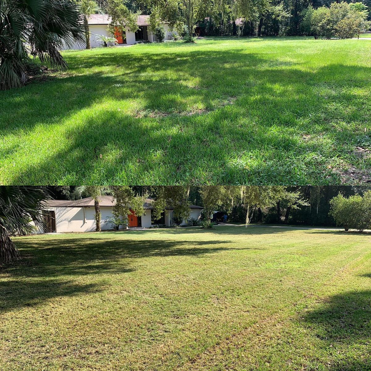 Landscape Maintenance & Mowing Services for Kings Legacy Services in Gainesville ,  FL