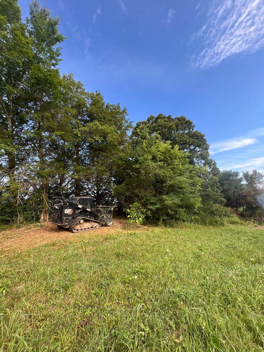 Forestry Mulching for Blair Excavation in Cookeville, TN