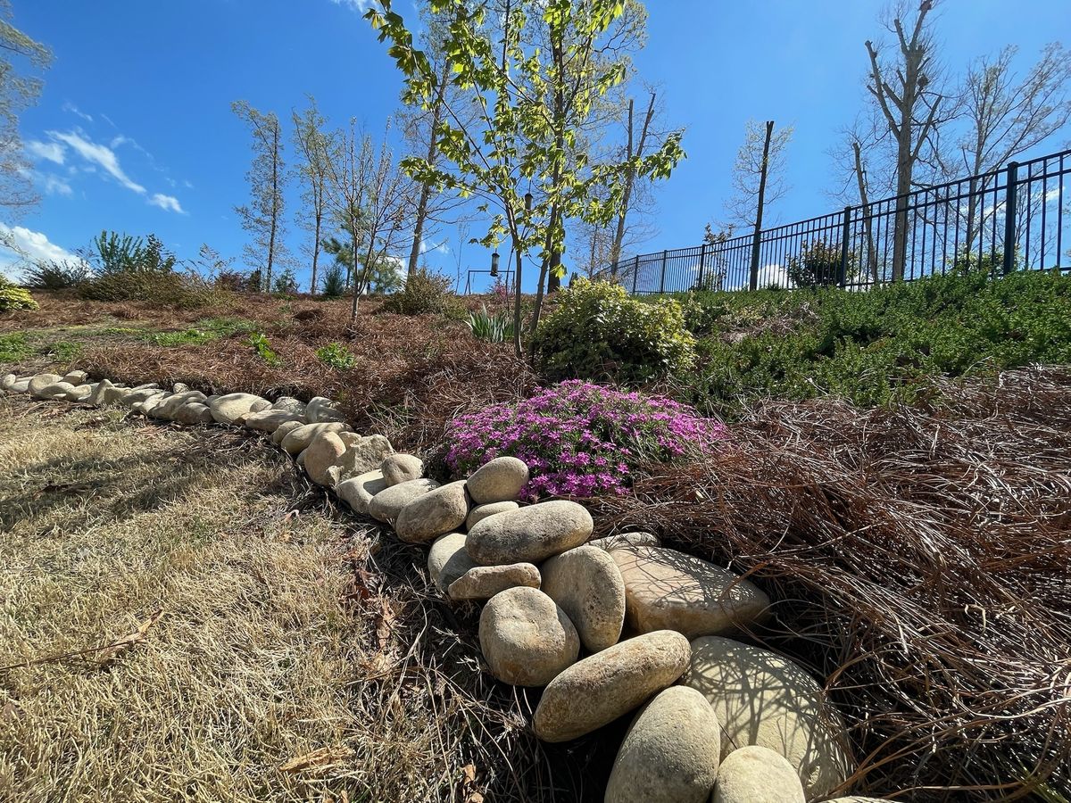 Tree Maintenance for Down To Earth Tree and Landscaping in Greenville, SC