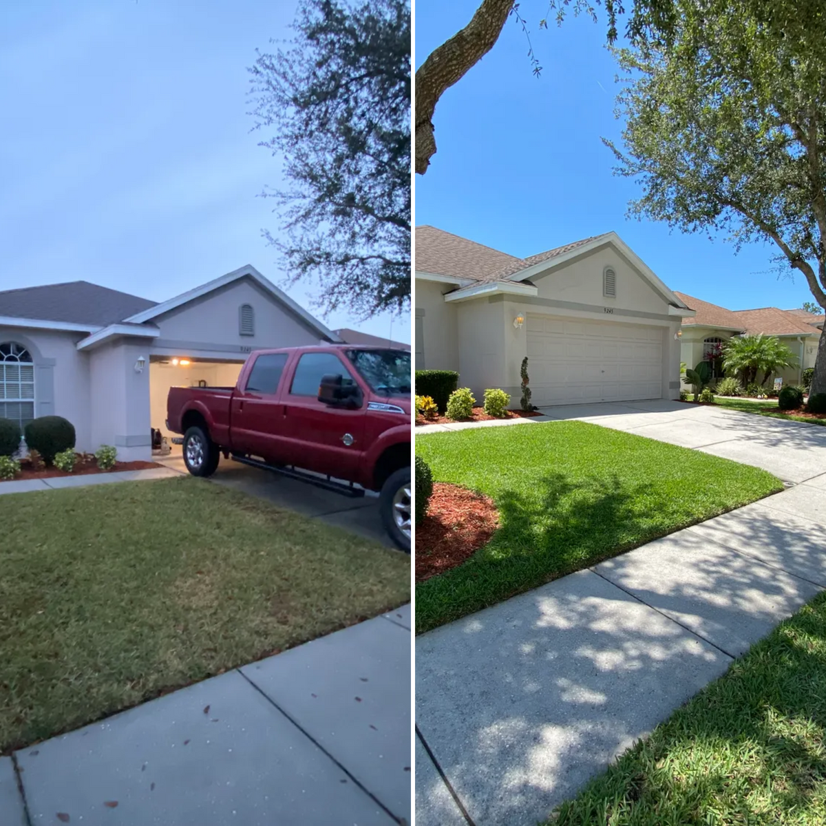 Sod Install for Copeland Services in New Port Richey, FL